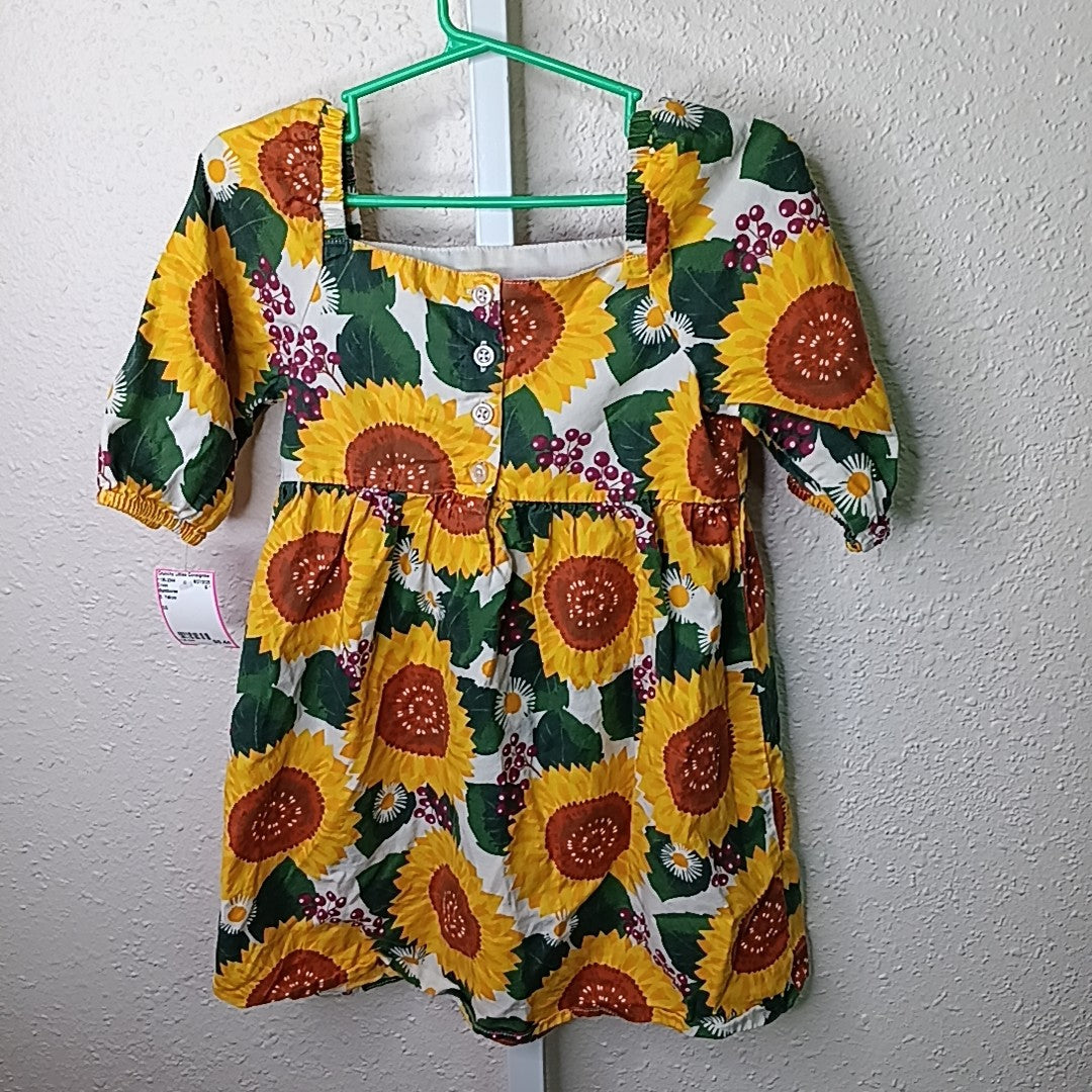 Gymboree 6 Dress