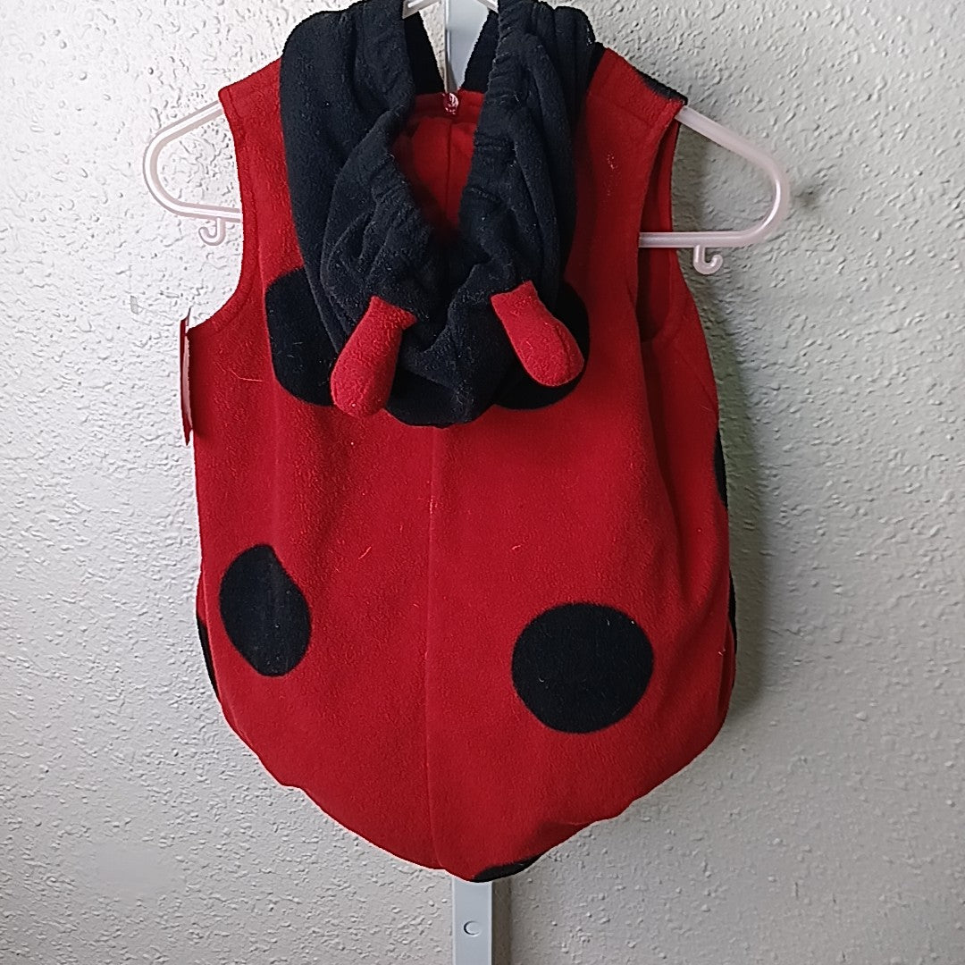 Carter's 6-9 Months Costume