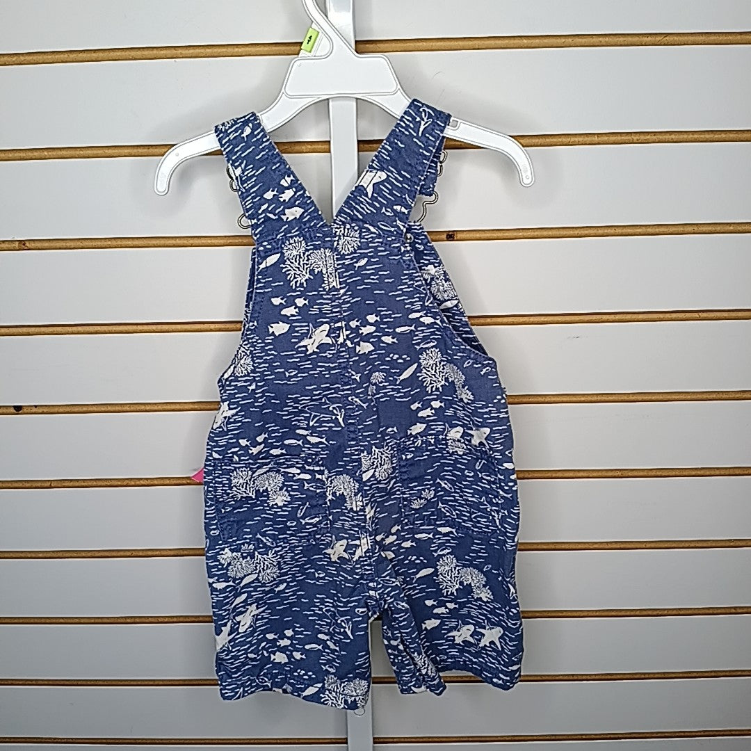 Carter's 24 Months Overalls