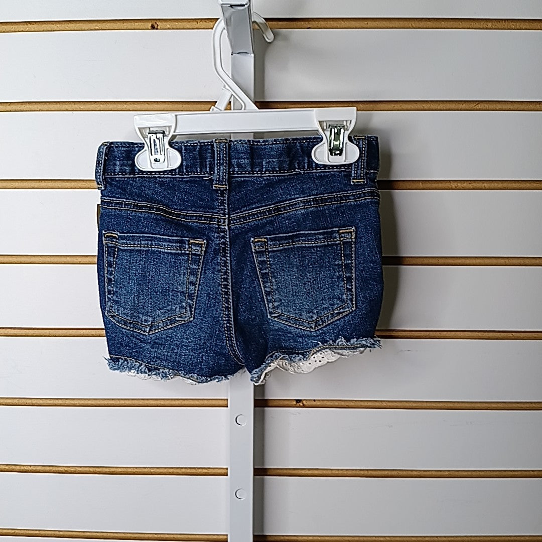 Cat & Jack 3T Shorts