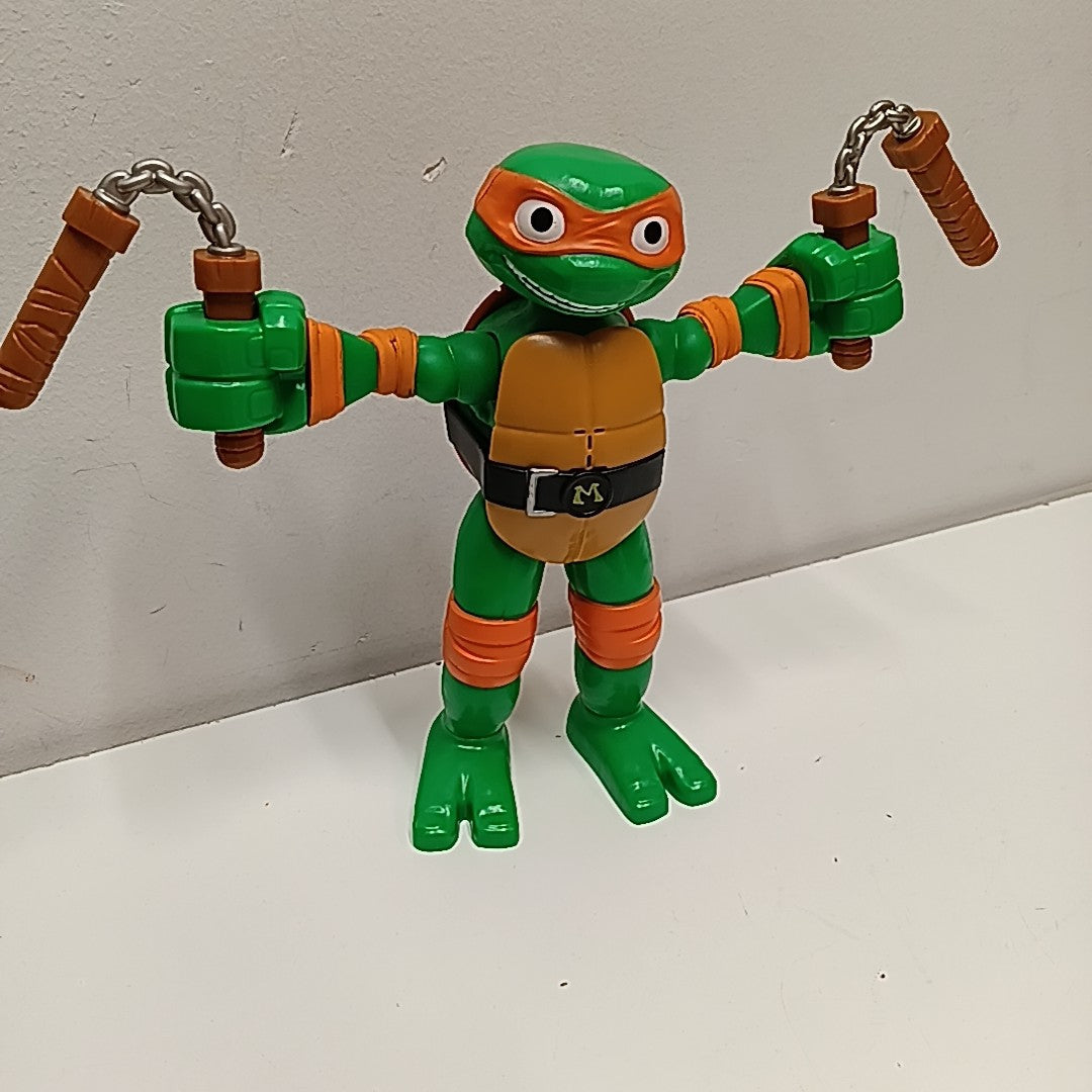 Teenage Mutant Ninja Turtles Action Figure