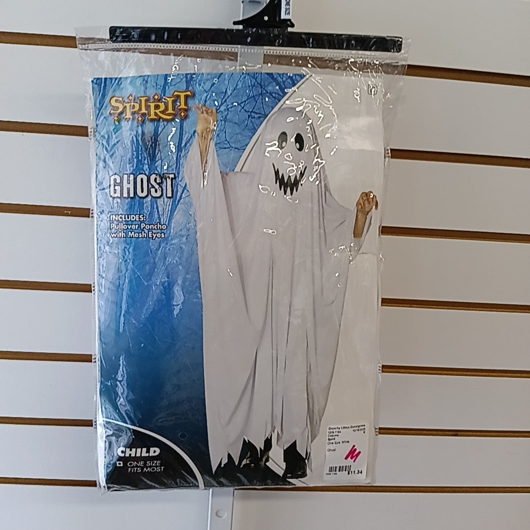 Spirit One Size Costume
