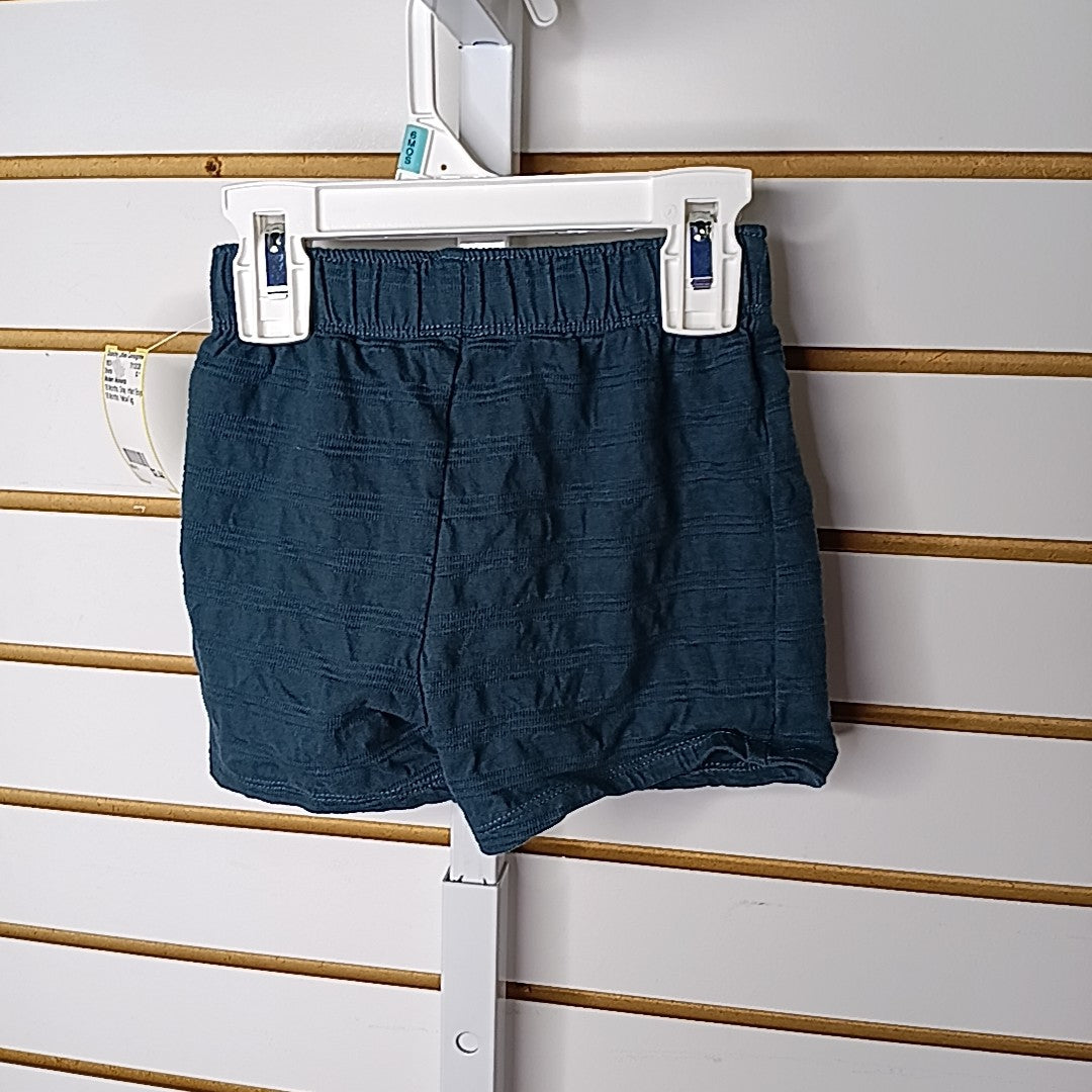 Modern Moments 18 Months Shorts