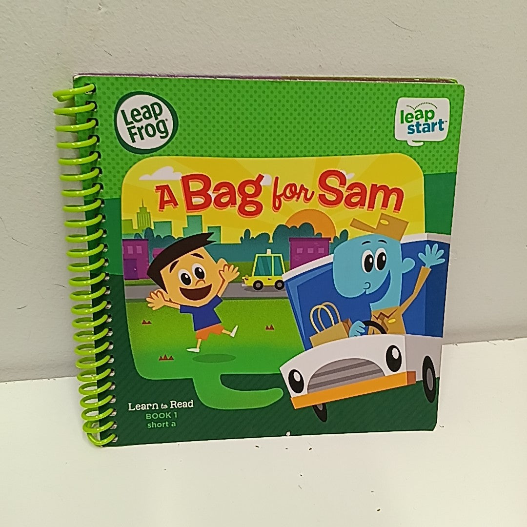 LeapFrog Electronic Toy