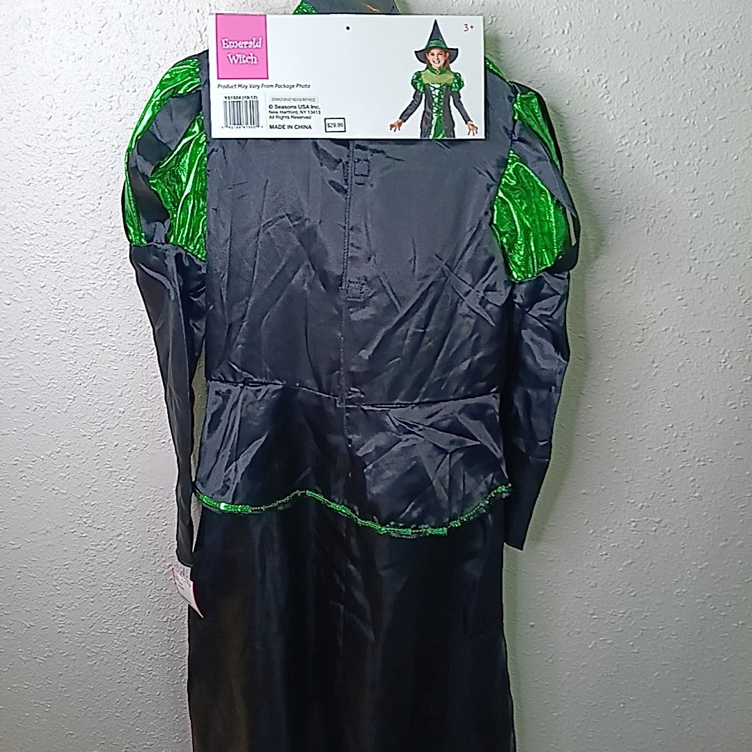 Seasons 10/12 Costume