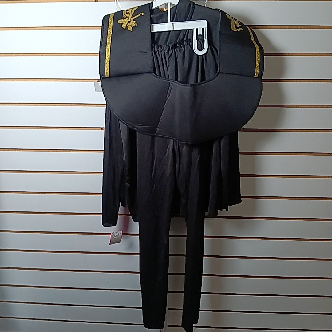 Celebrate 10/12 Costume