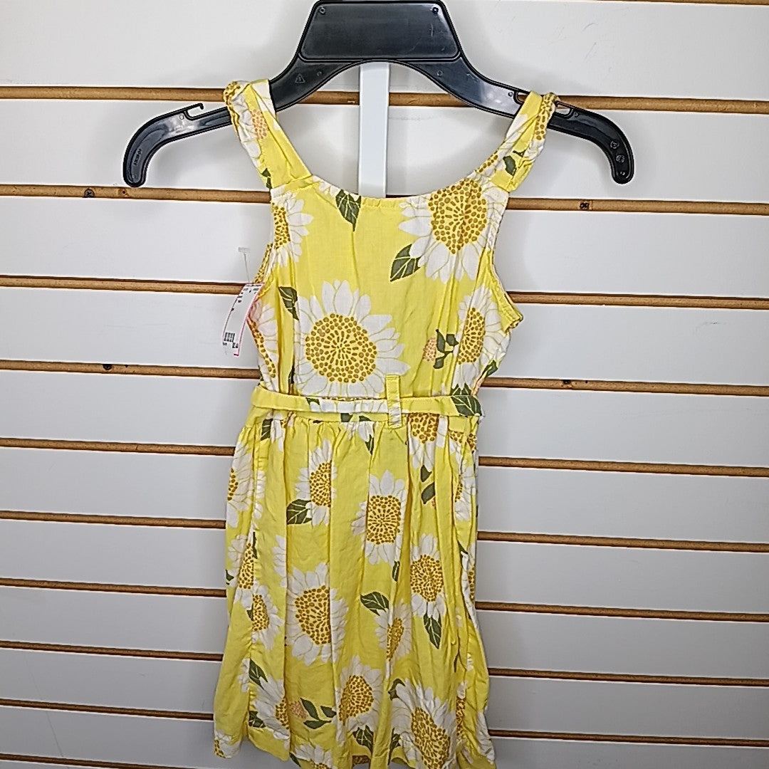 Carter's 5T Dress