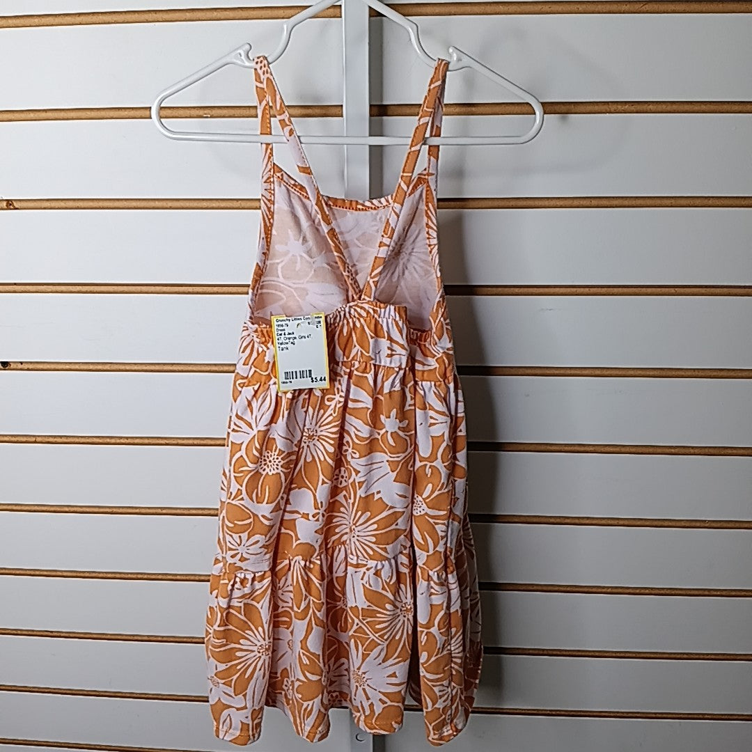 Cat & Jack 4T Dress