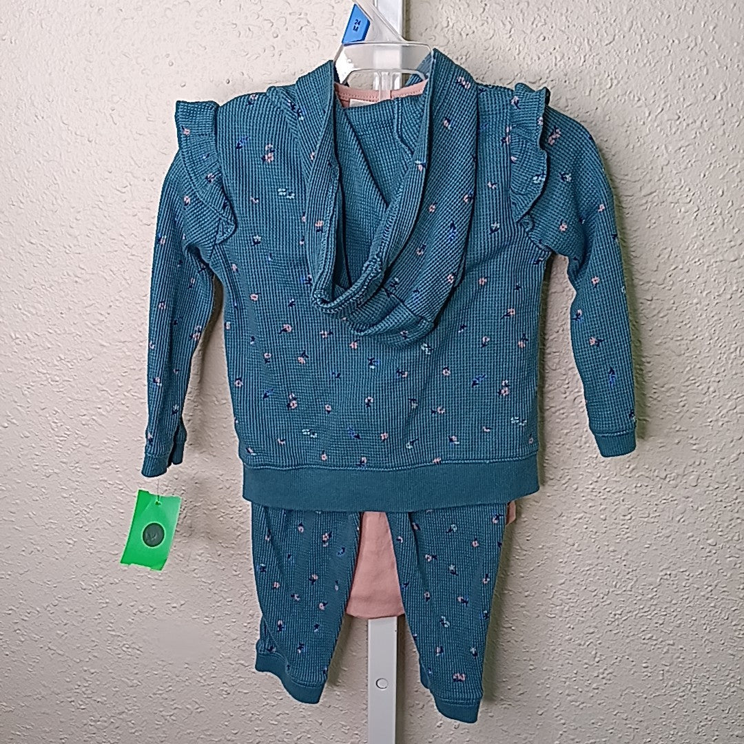 Carter's 18 Months Outfit 3pc