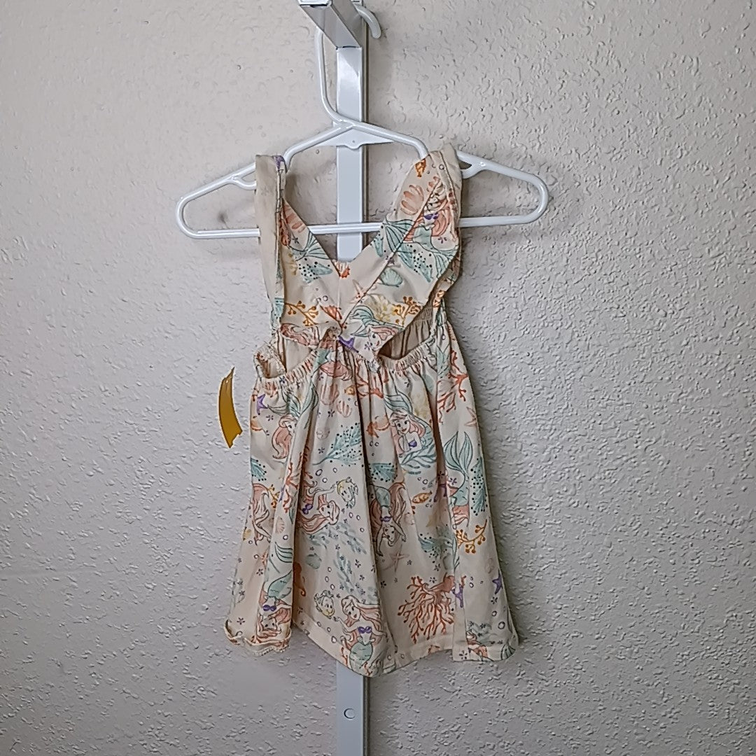 Disney Princess 12 Months Dress