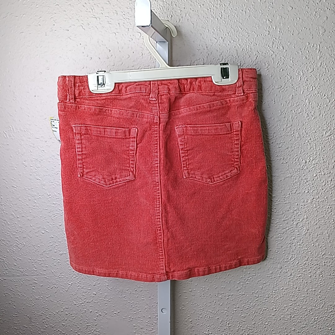 Art Class 10/12 Skirt