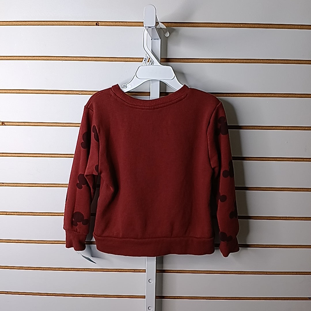 Disney Junior 3T Sweater/Sweatshirt