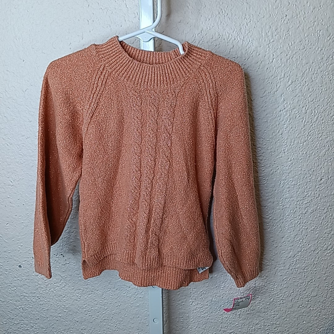 Cat & Jack 4T Sweater/Sweatshirt