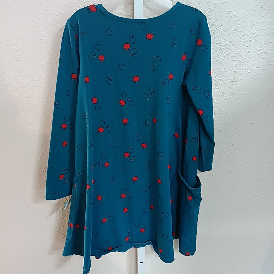 Hanna Andersson 10 Dress