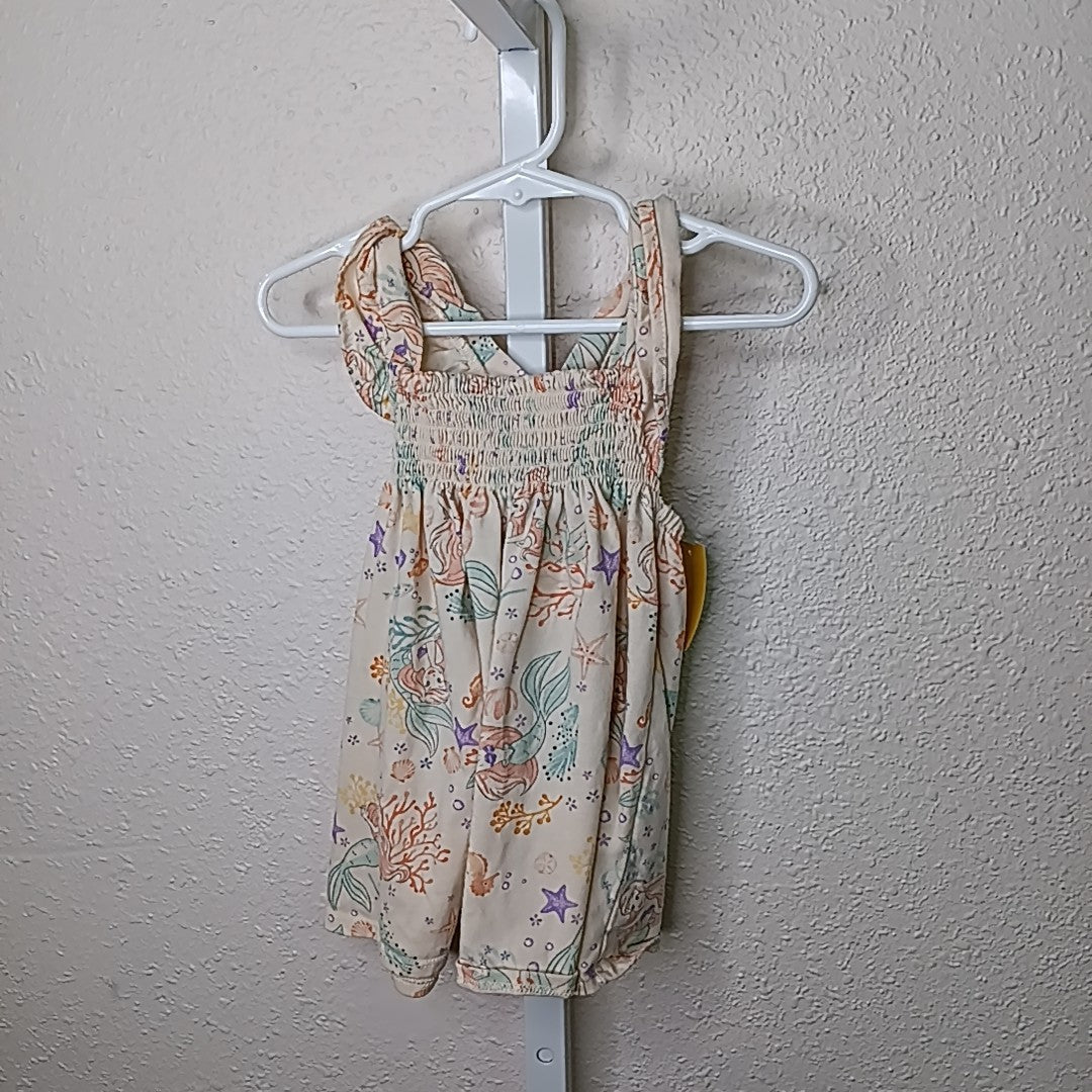 Disney Princess 12 Months Dress