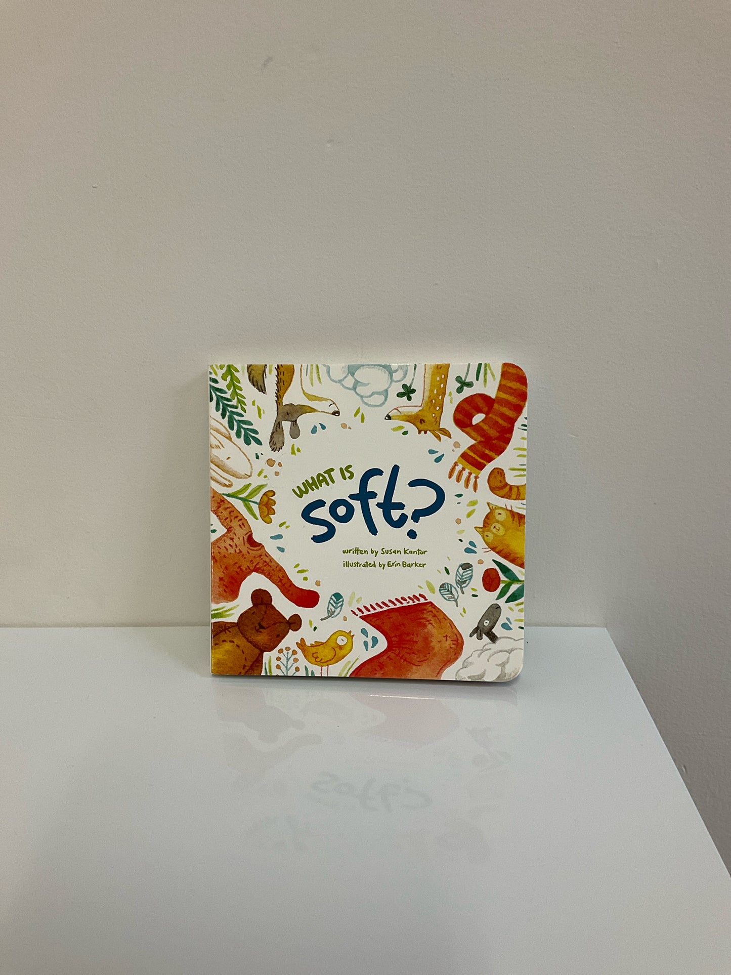 Board Book Books