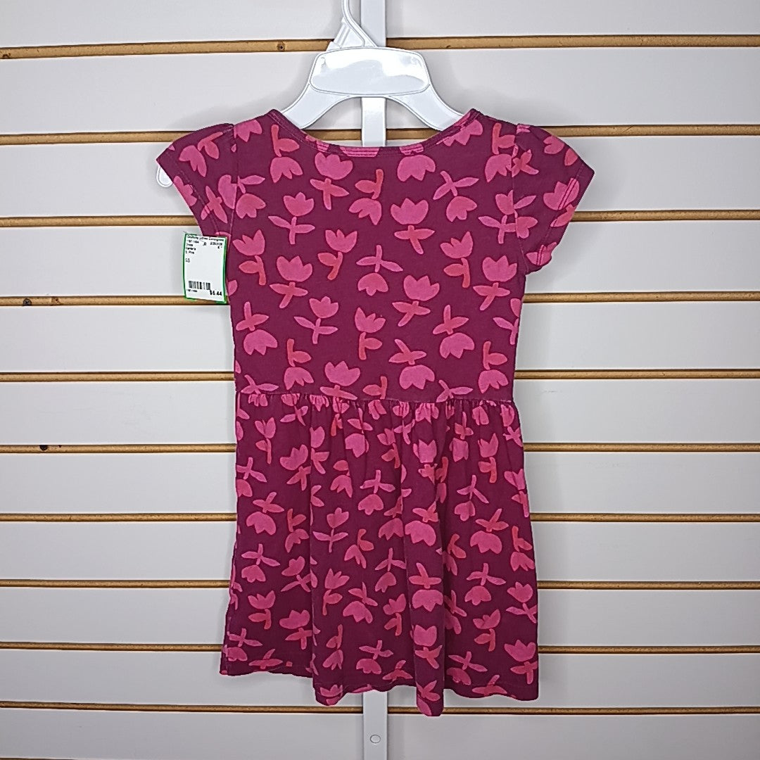 Carter's 5 Dress