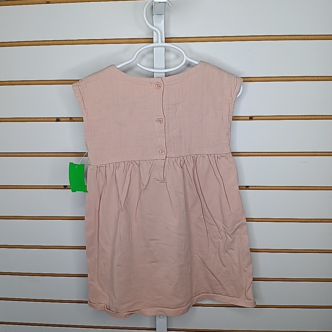 Baby Gap 4 Dress