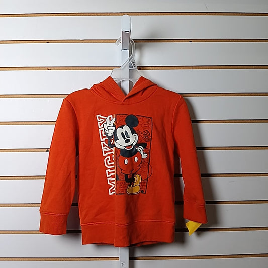 Jumping Beans 3T Sweater/Sweatshirt