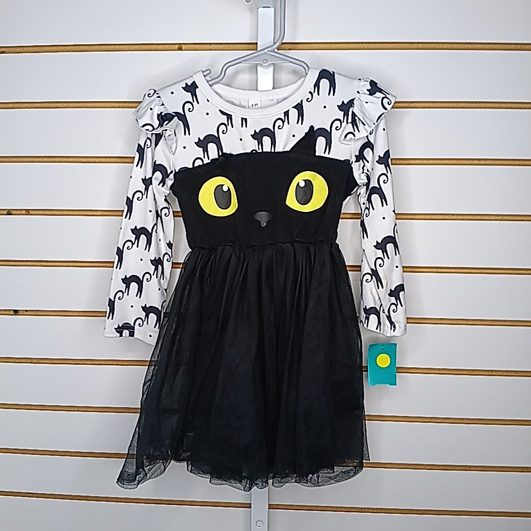 2/3 Dress
