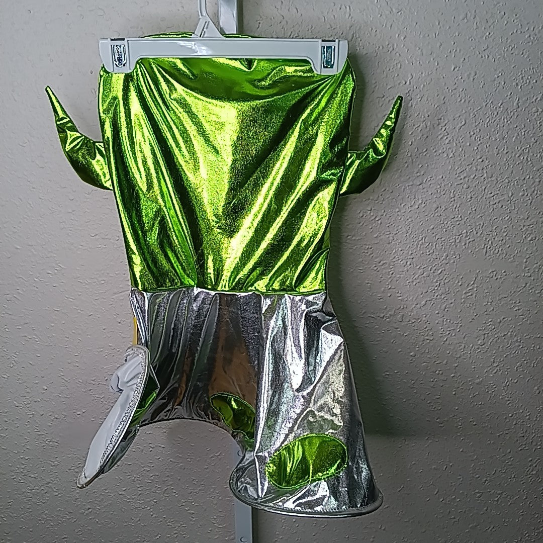 Zara 2T Costume