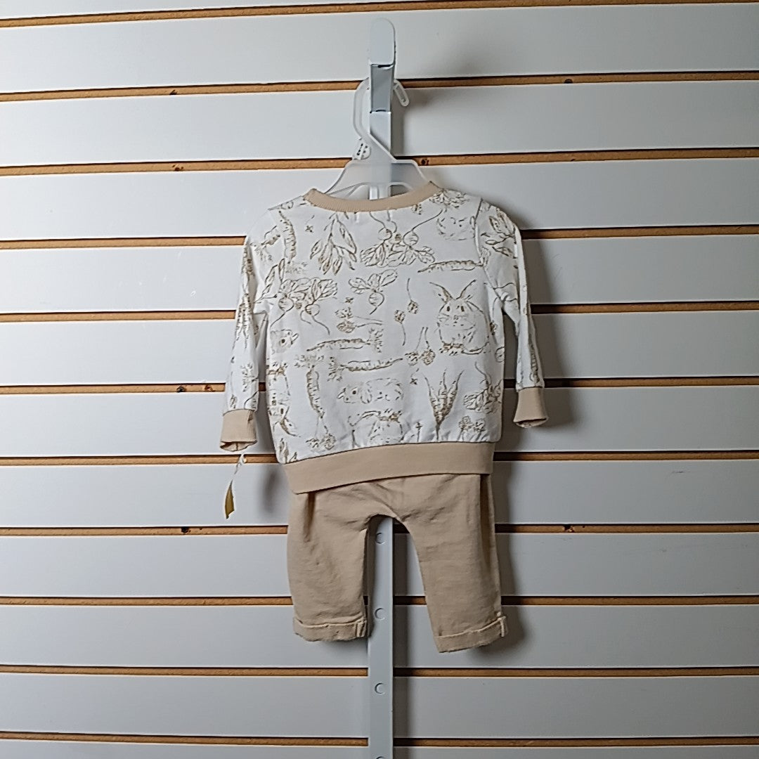 Burts Bees 0-3 Months Outfit 2pc