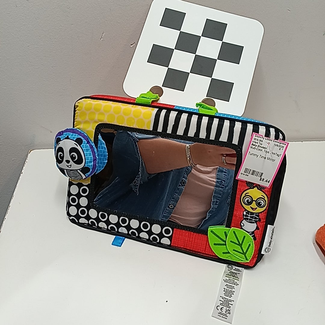 Baby Einstein Infant Toy