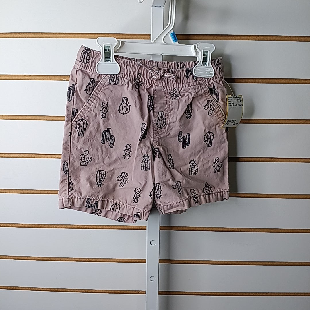 Cat & Jack 3T Shorts