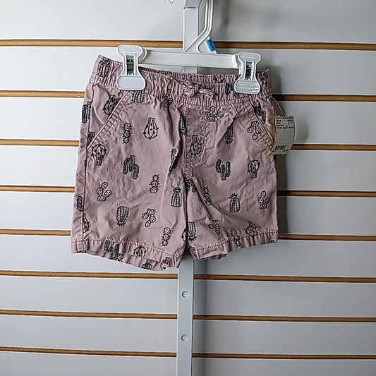 Cat & Jack 3T Shorts