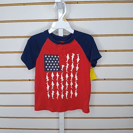 Celebrate 4T Shirt