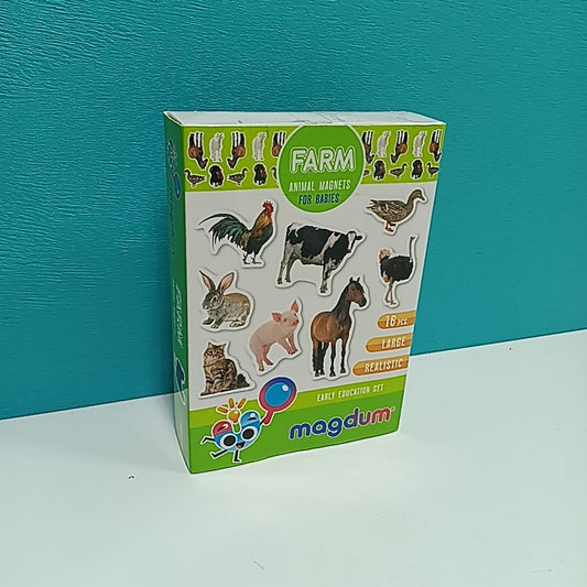 Magdum Magnetic Toy