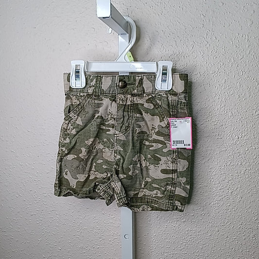 Carhartt 2T Shorts