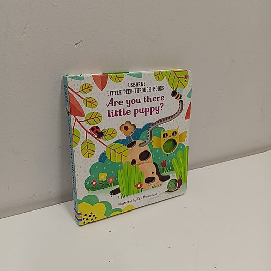 Board Book Books