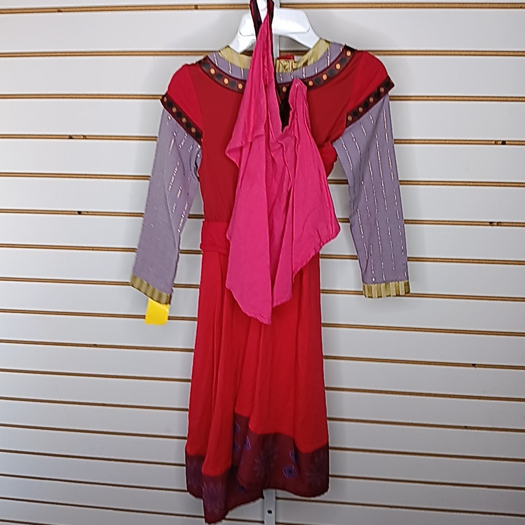 Disney 5/6 Costume