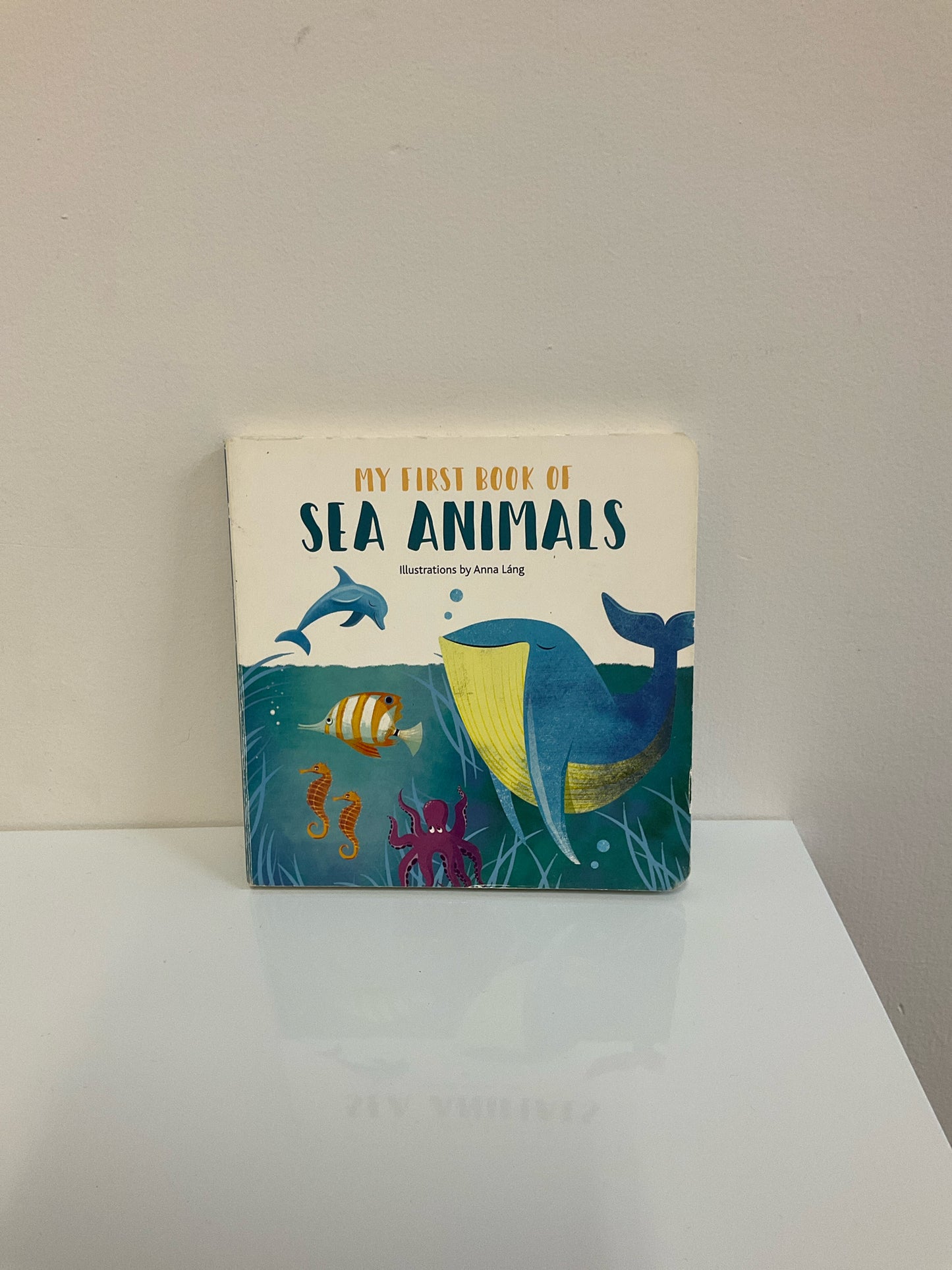 Board Book Books