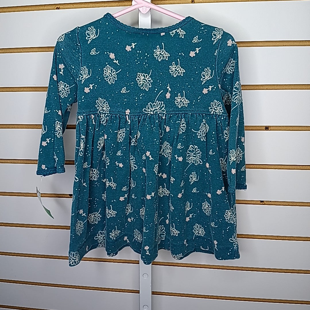 Hanna Andersson 2T Dress