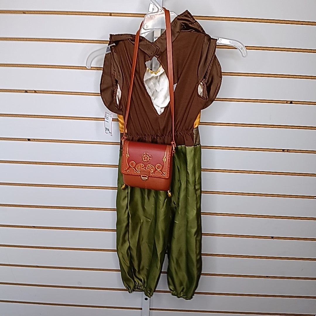 Disney Princess 4-6 Costume