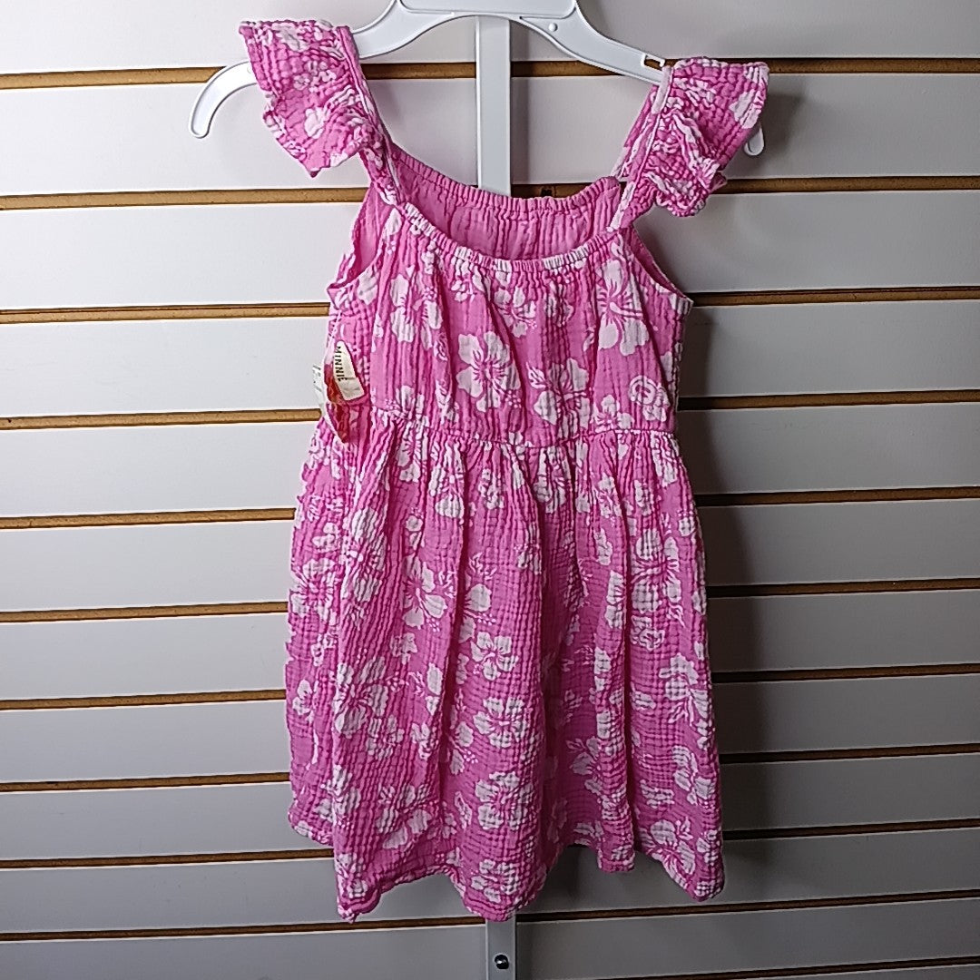 Disney 6/7 Dress