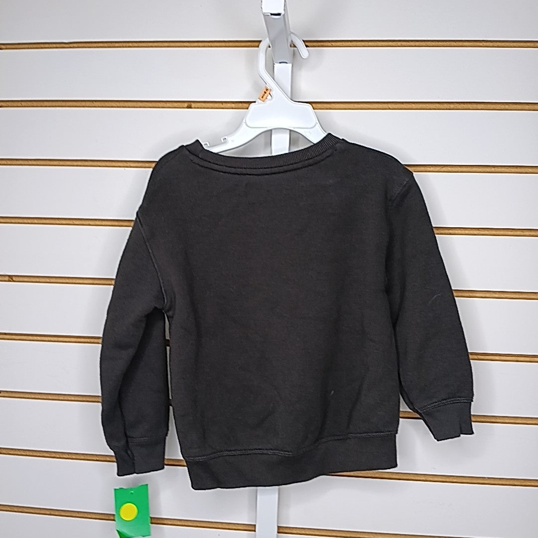 Little Co. 3T Sweater/Sweatshirt