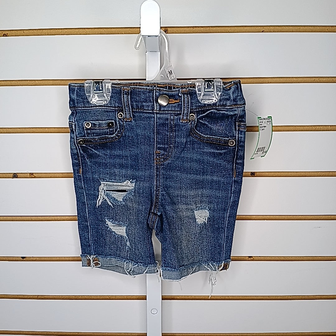Wonder Nation 3T Shorts