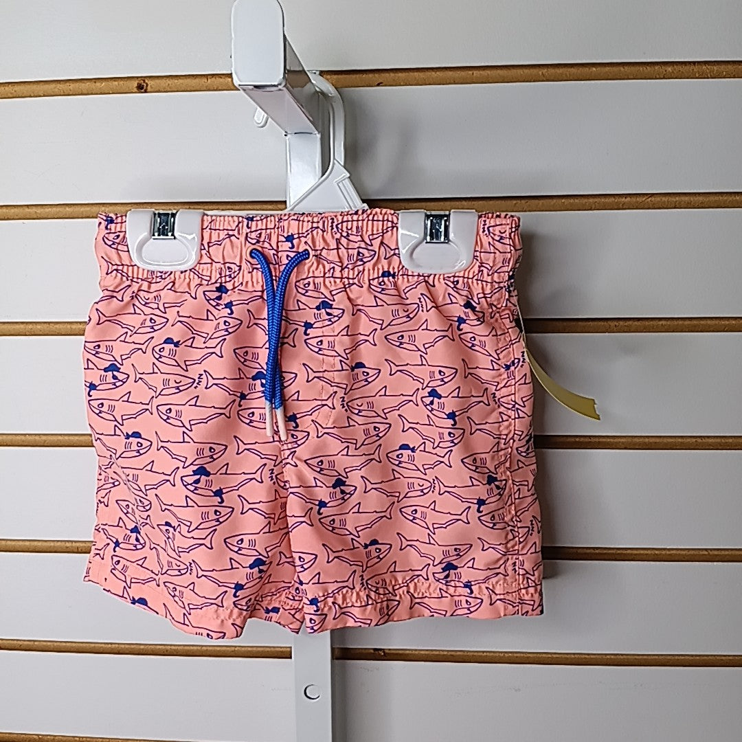 Cat & Jack 2T Swim Shorts
