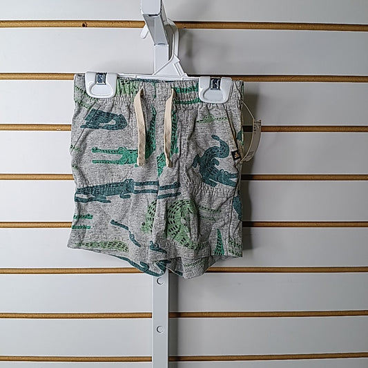 Baby Gap 4T Shorts