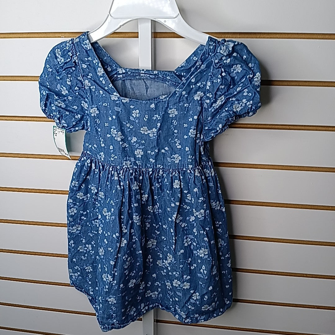Baby Gap 4T Dress