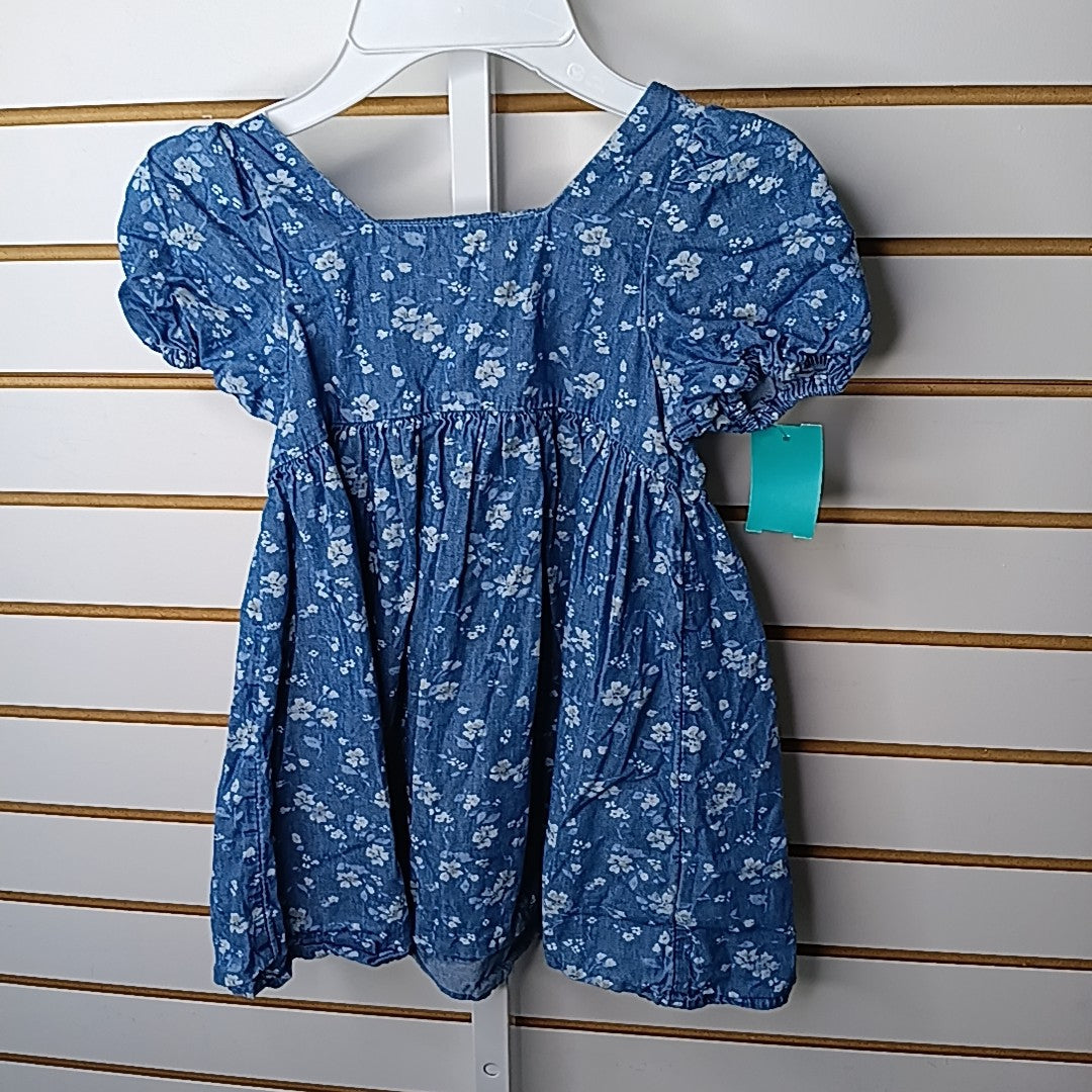 Baby Gap 4T Dress