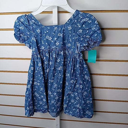 Baby Gap 4T Dress
