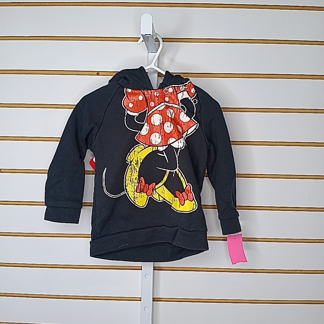 Disney Park 18 Months Sweater/Sweatshirt