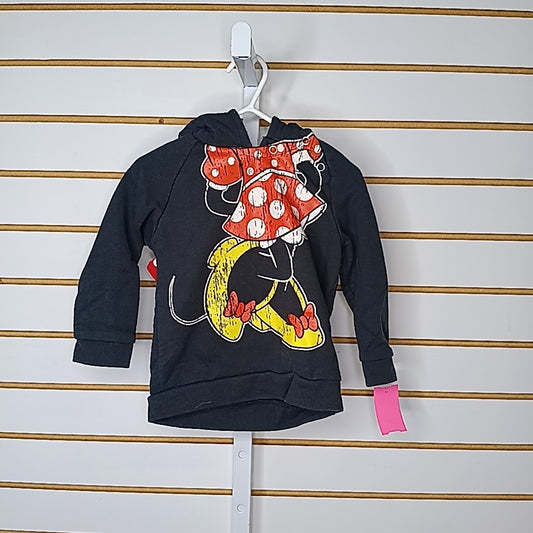 Disney Park 18 Months Sweater/Sweatshirt