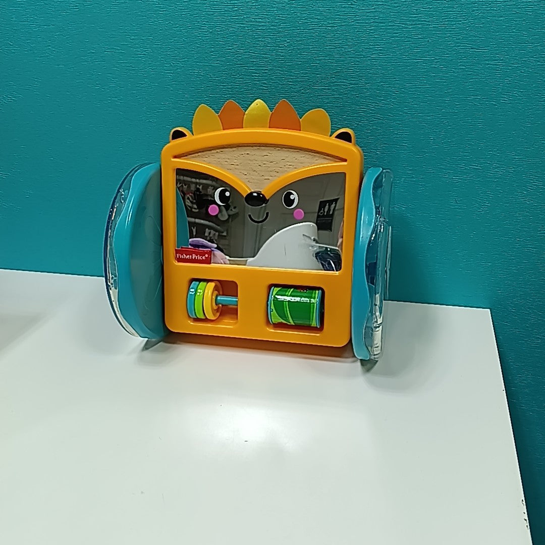 Fisher Price Infant Toy