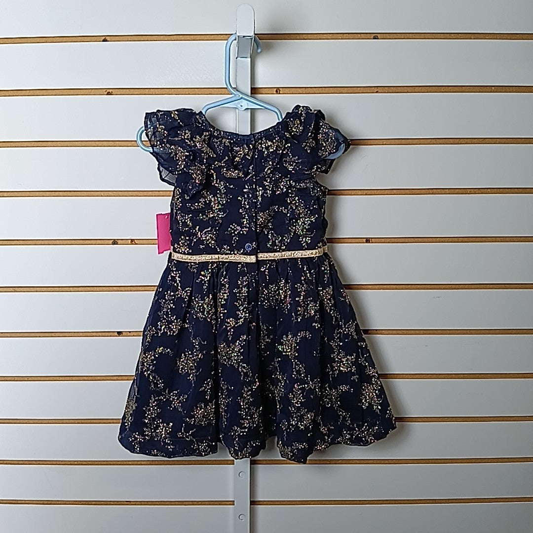 Janie & Jack 3 Dress