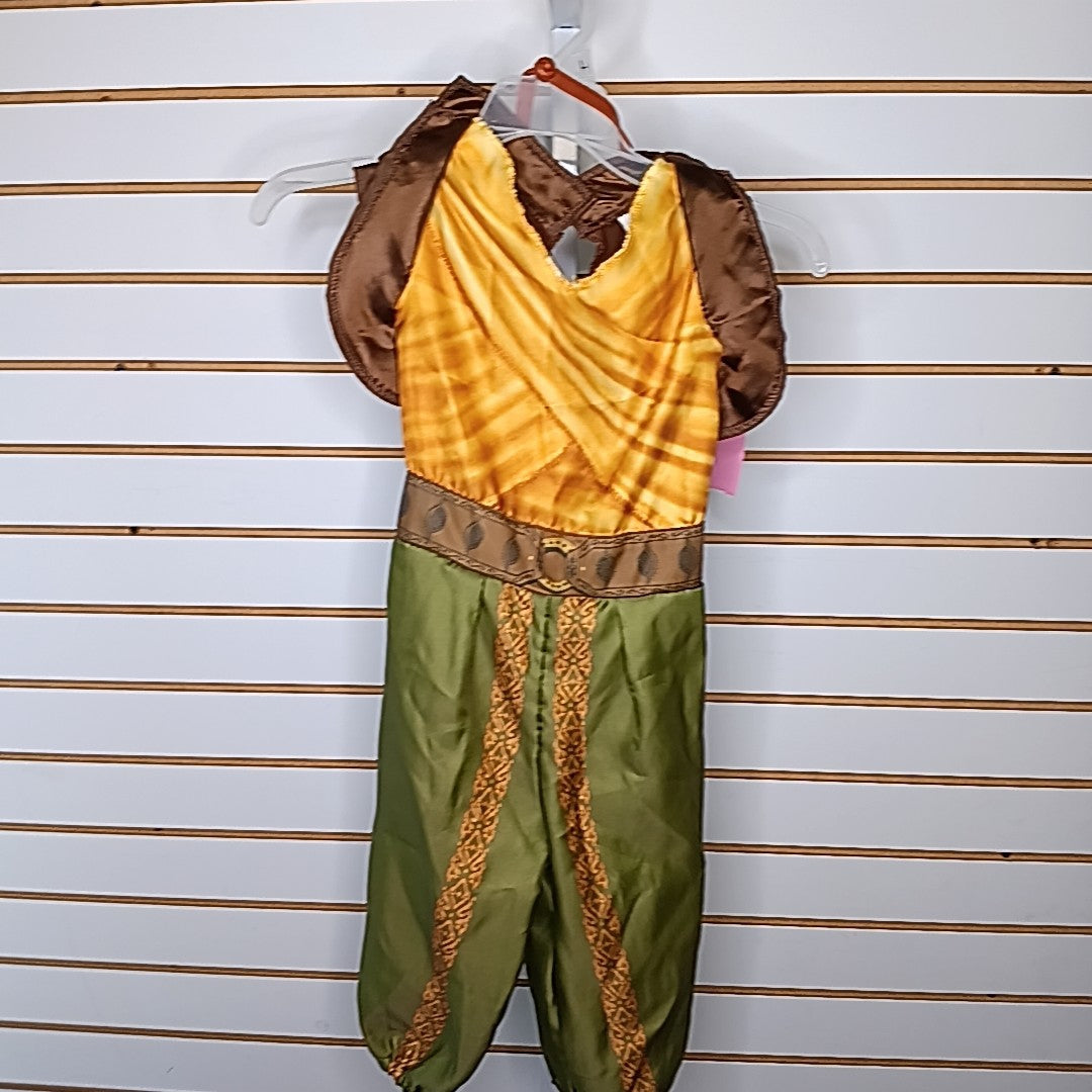 Disney Princess 4-6 Costume